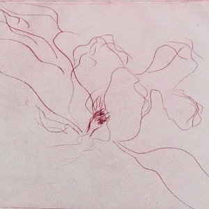 008 Acervo Gravura em metal Sem Título Margot Delgado sdminiatura 300x300