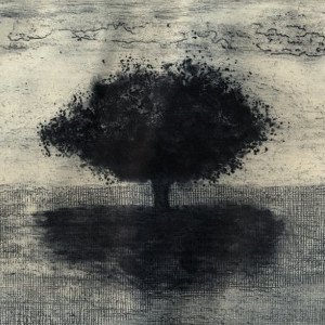 051 Acervo Gravura em metal Sem Título Rosário Ferreira 2009 miniatura 300x300 1