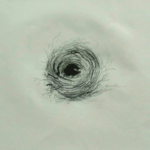 000 jacqueline Aronis 300x300